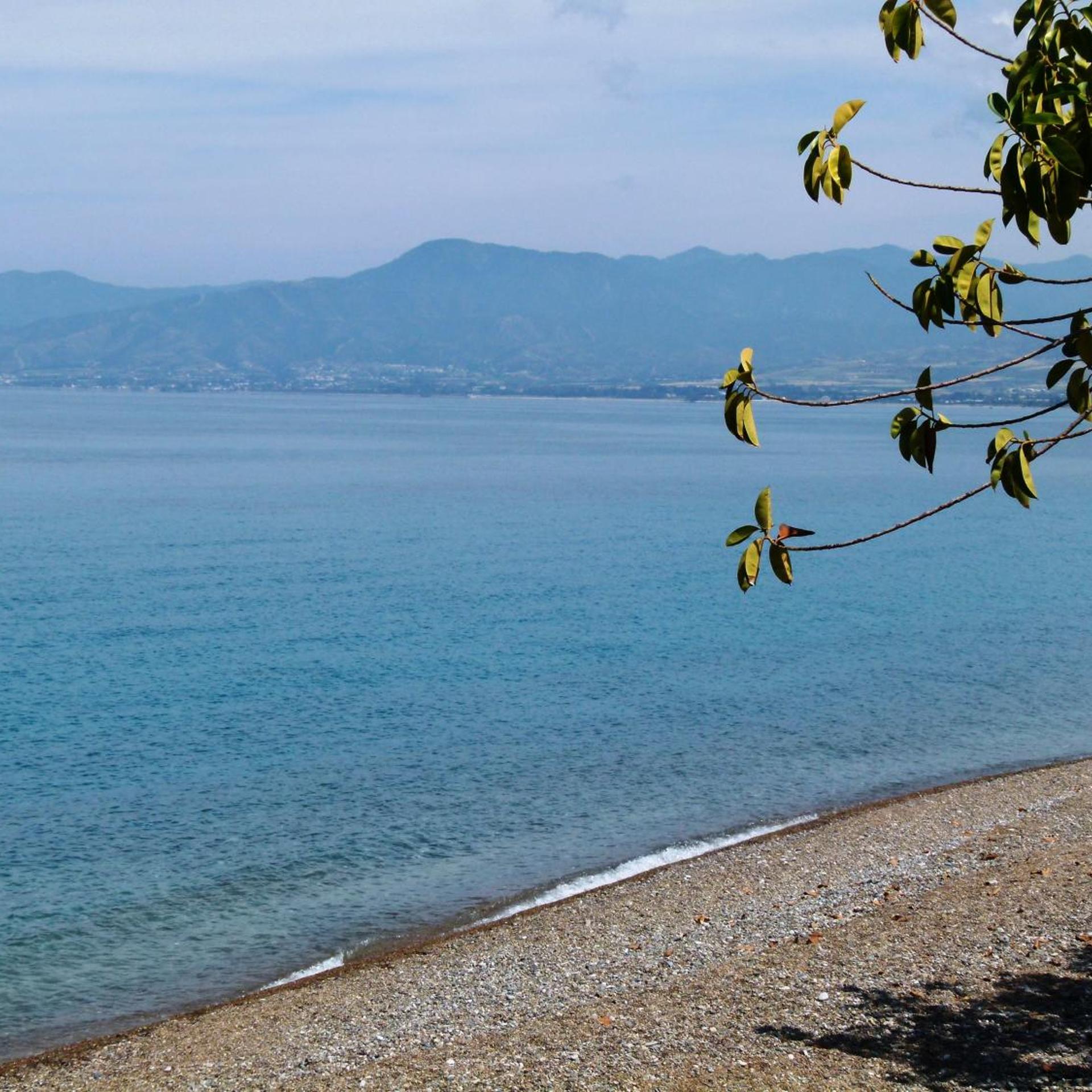 Aphrodite Beach Hotel 41/51