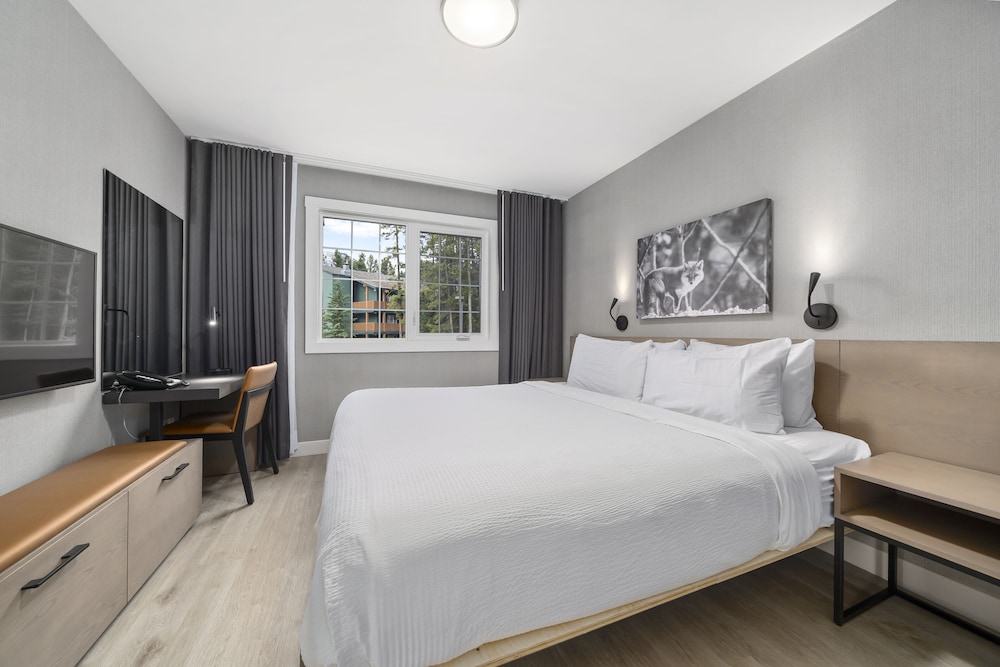 2 Bedrooms, Deluxe, Suite, 1 King and 2 Queen Beds, Queen Murphy Bed