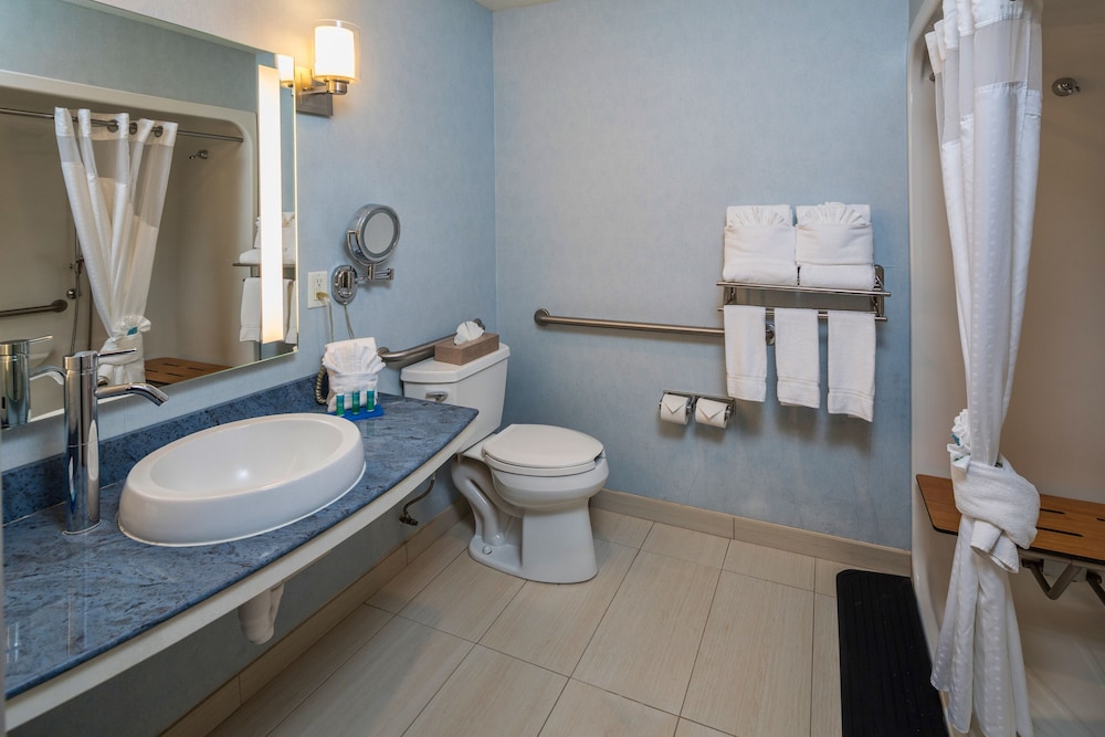 Holiday Inn Express And Suites Modesto Salida 13/31