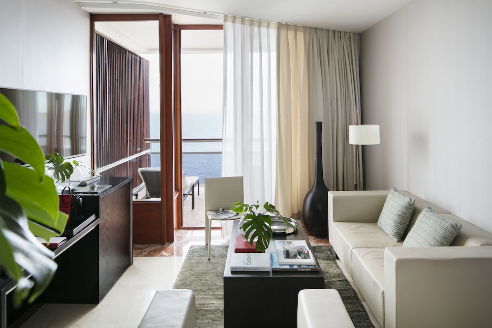 Hotel de Mar Gran Melia - Adults Only 48/83