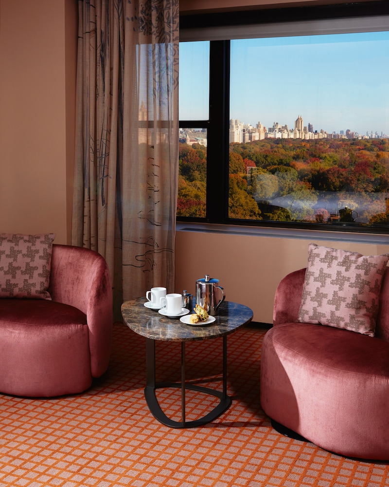 Park Lane Hotel New York 49/67