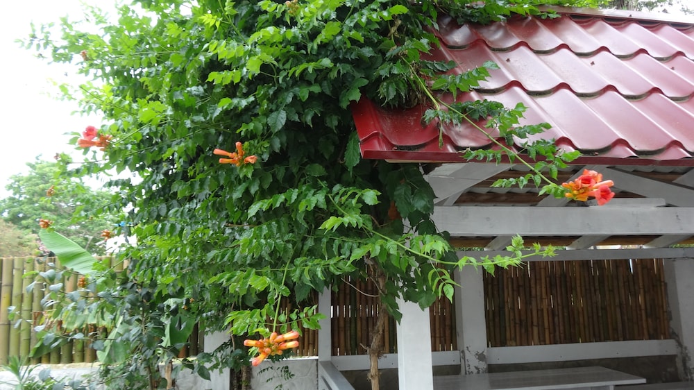 Ritsa Resort 63/70