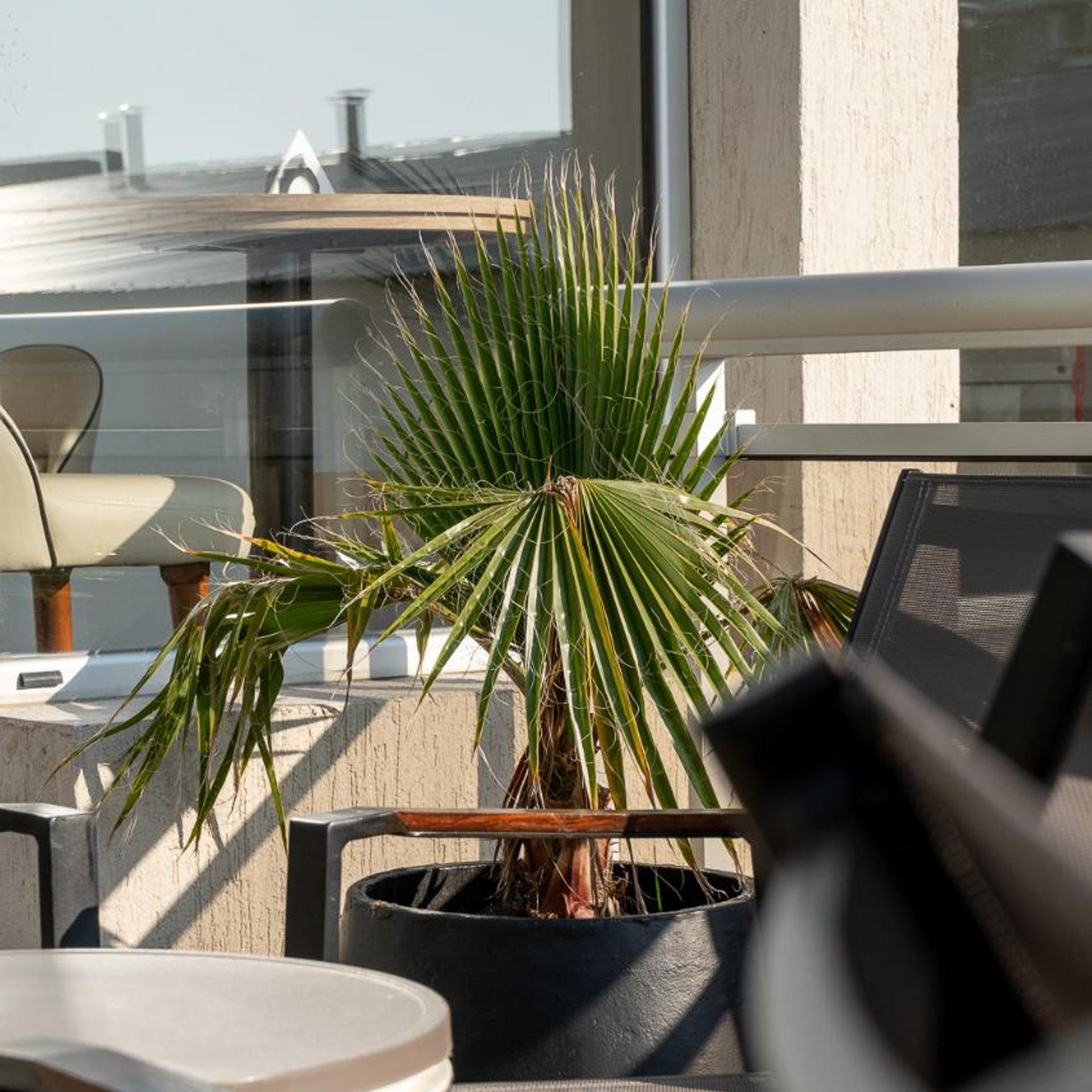 Hotel Altair 34/50