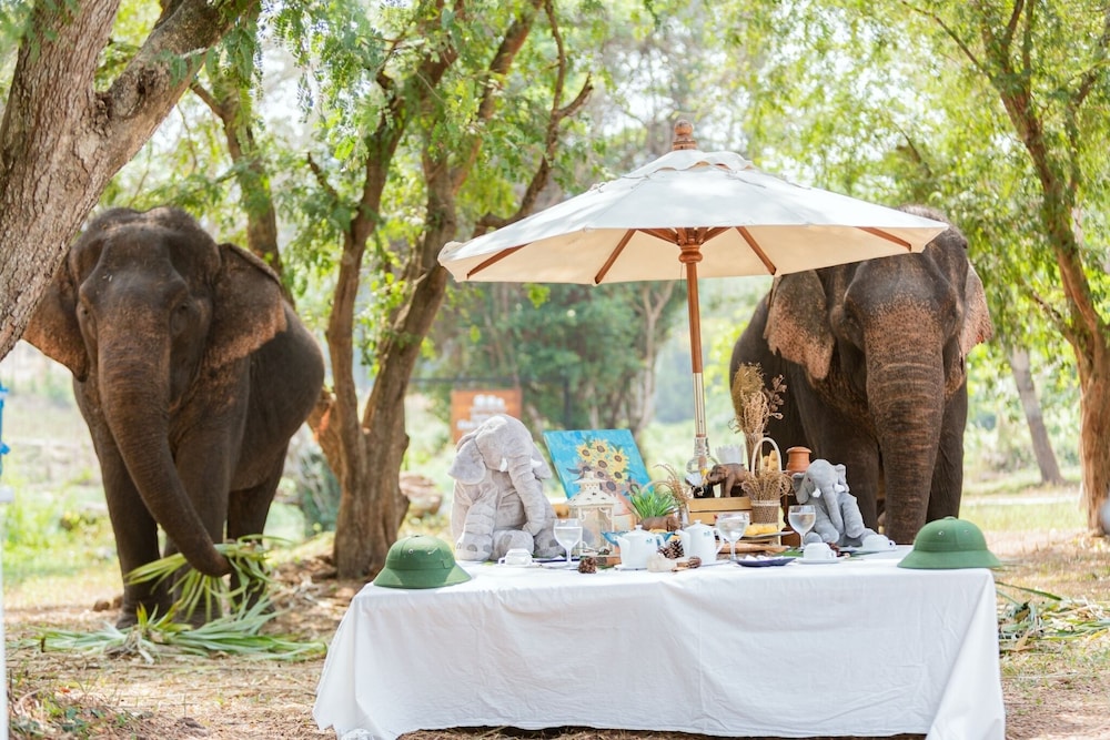 Sappraiwan Elephant Resort & Sanctuary 21/50