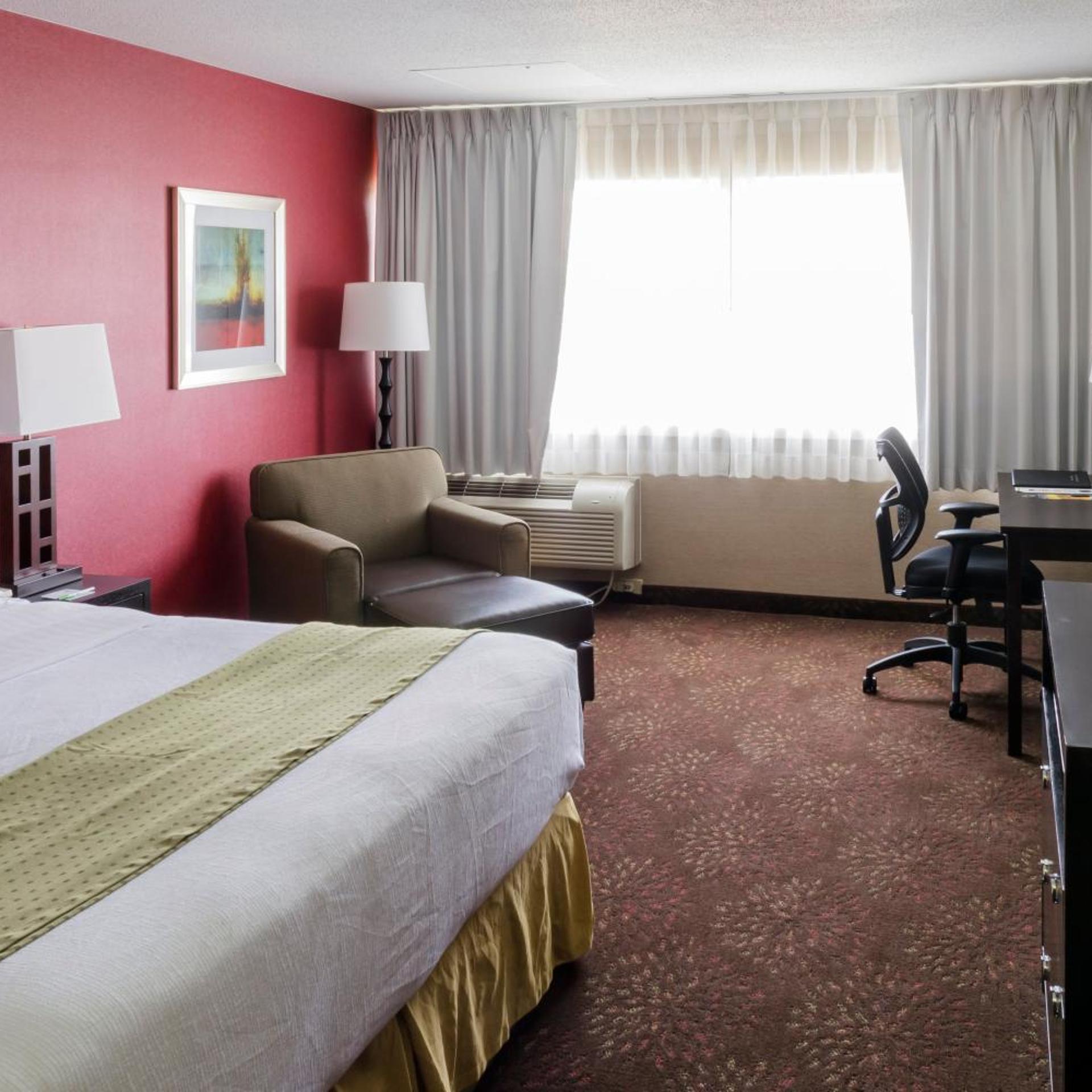 Suite, King Bed, Sofa
