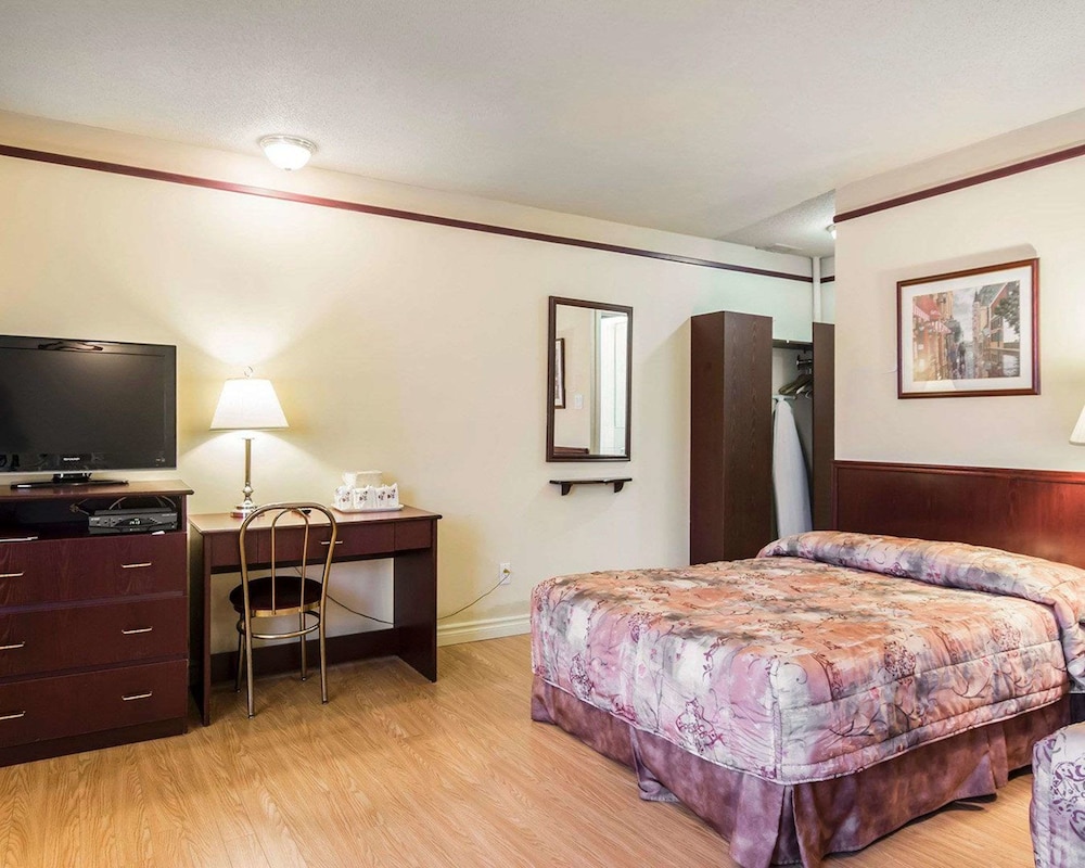 Repotel Levis 8/48