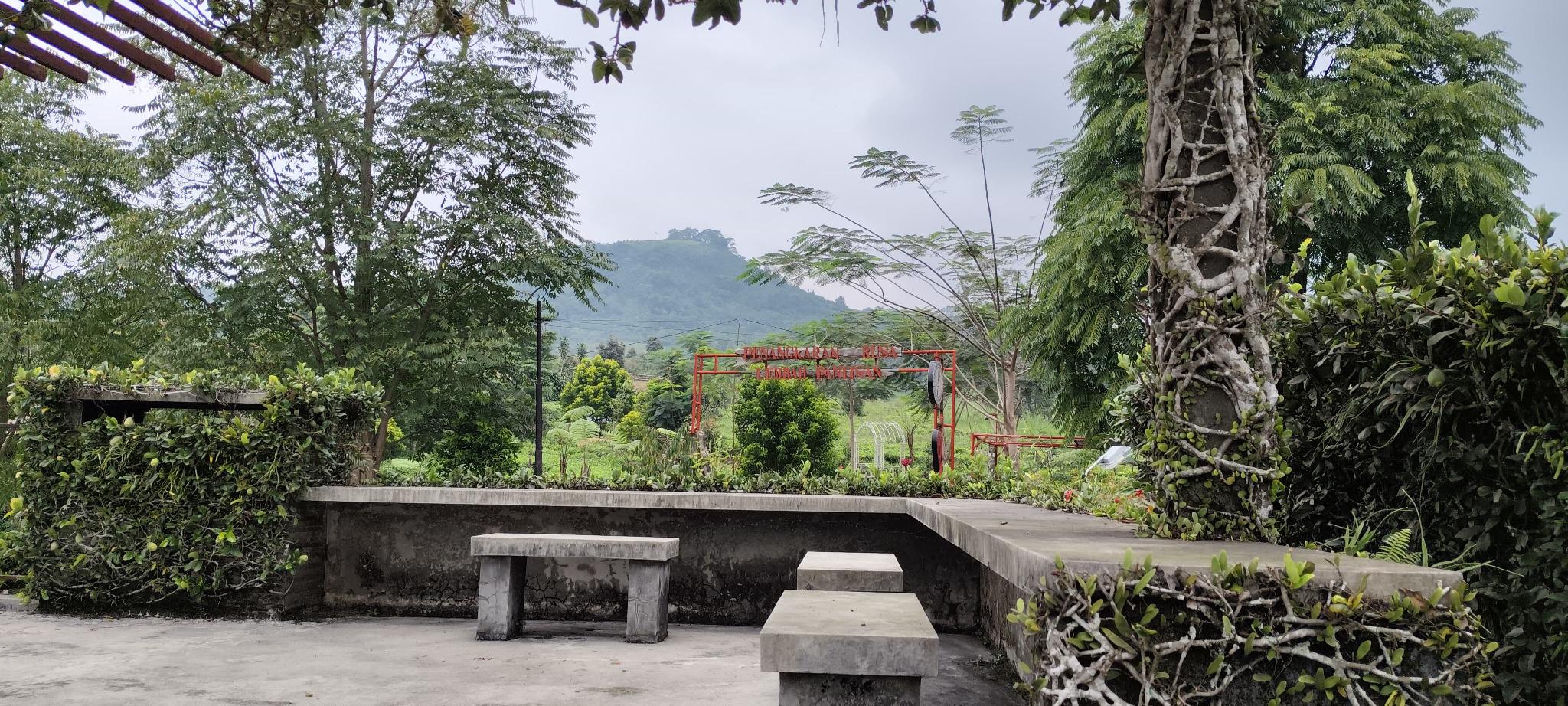 TEA GARDEN RESORT 42/46