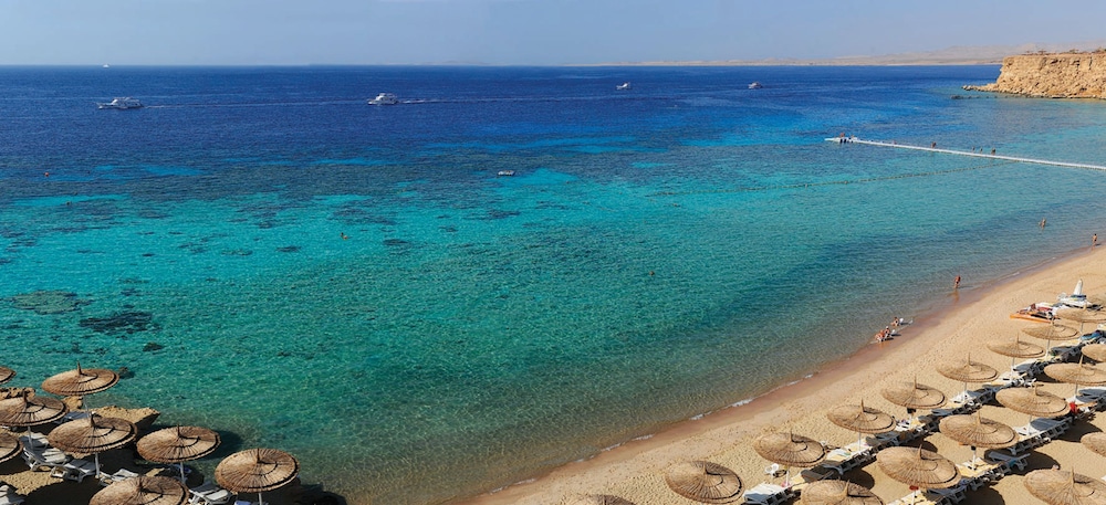 Reef Oasis Beach Resort 79/82