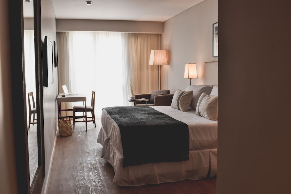 Cyan Soho Neuquen Hotel 17/65