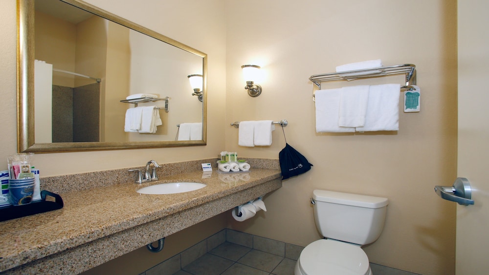 Holiday Inn Express Leland - Wilmington Area 69/71