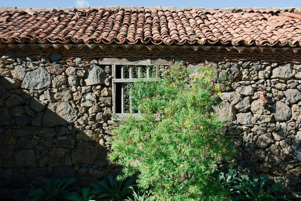 El Patio De Tita 31/50