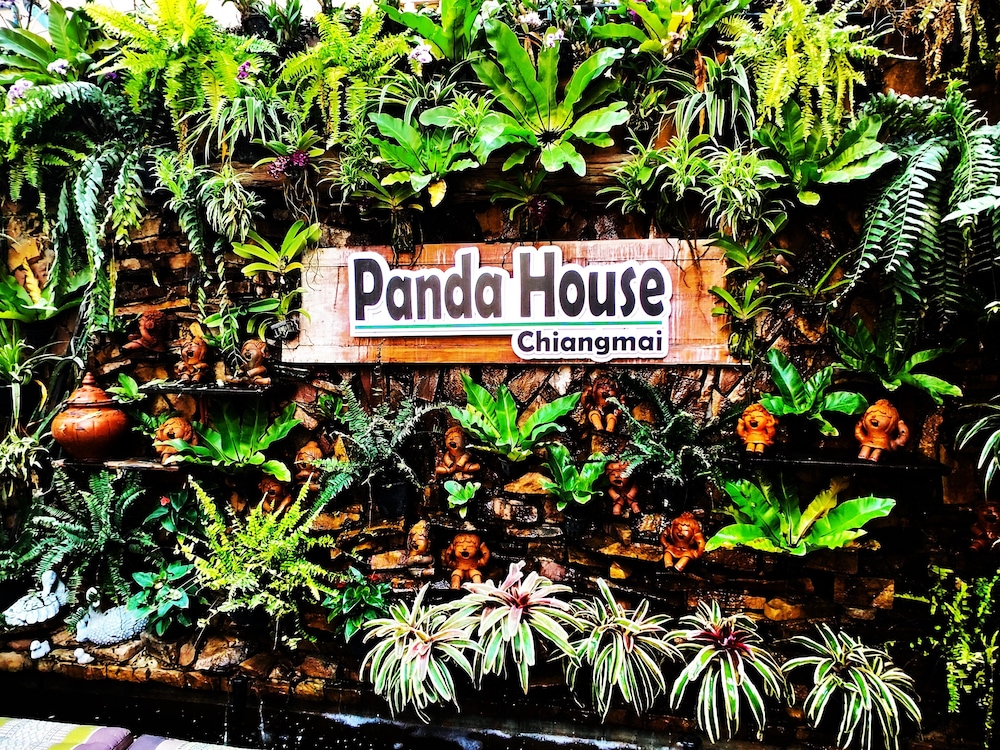 Panda House Chiang Mai 38/47