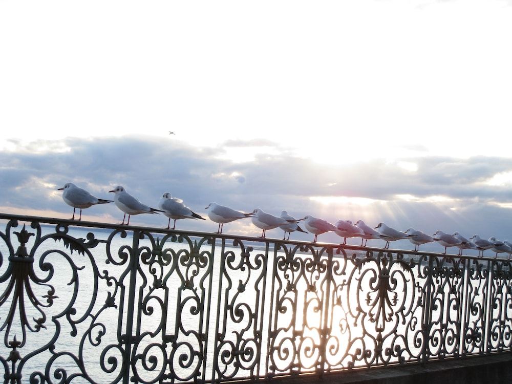 Le Royal Nice Promenade des Anglais 63/67