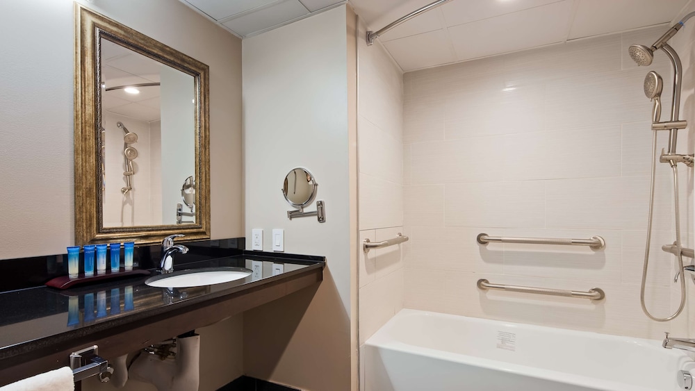 Radisson Hotel Southfield-Detroit 16/53