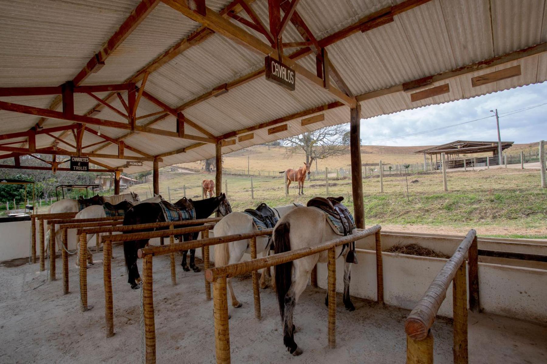 Hotel Fazenda Colina dos Sonhos 36/50