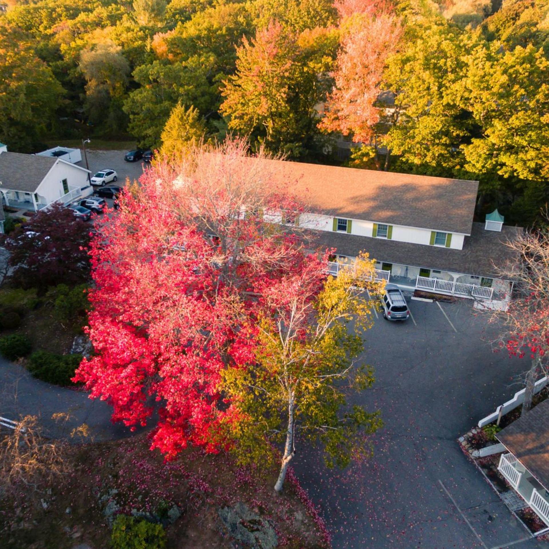 Village Cove Inn 47/51