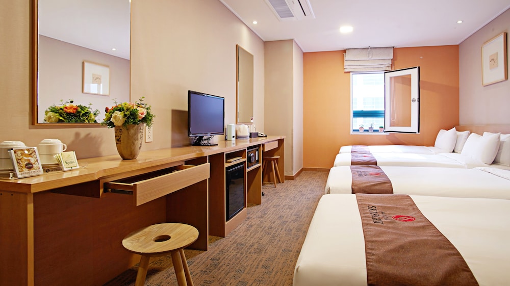 Hotel Skypark Myeongdong Iii Seoul 37/62