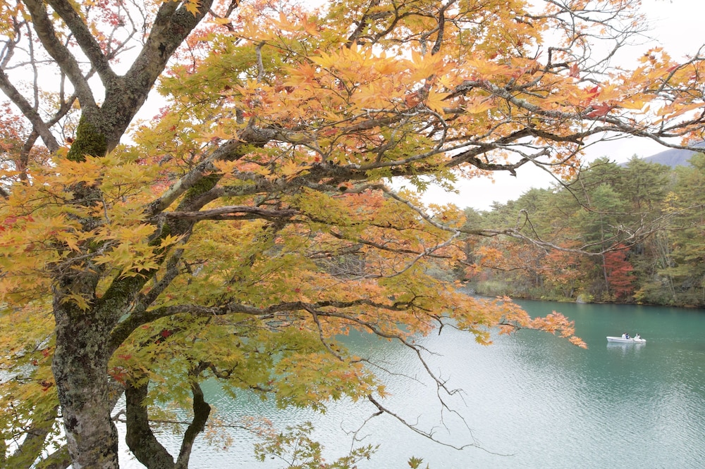 Kutsurogijuku Chiyotaki 42/50