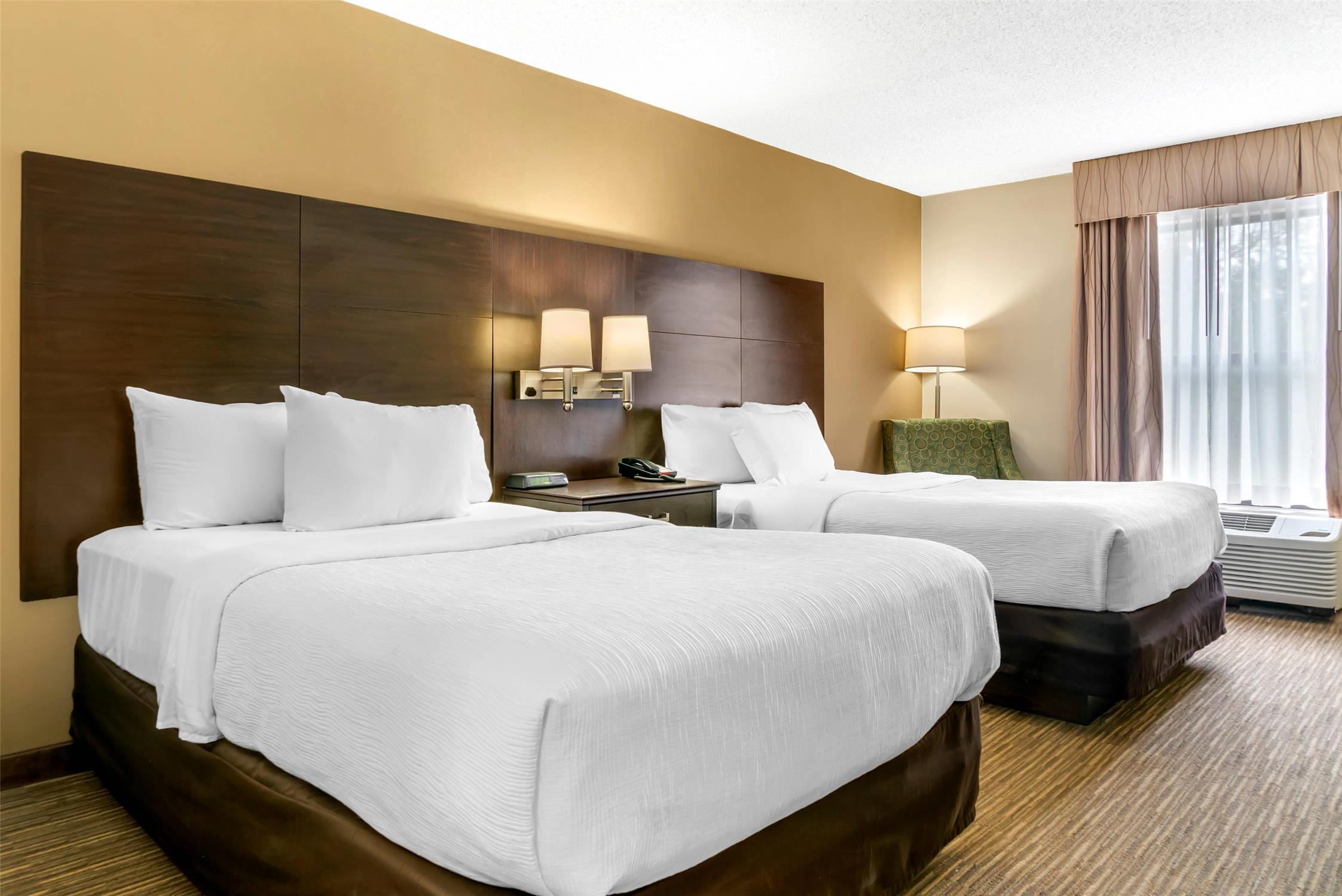 Room, 2 Double Beds