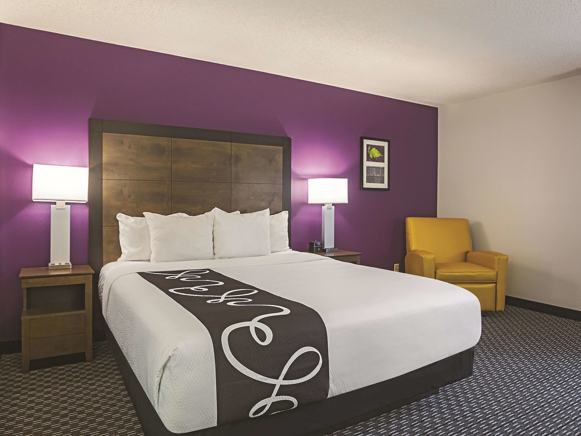 Suite, King Bed
