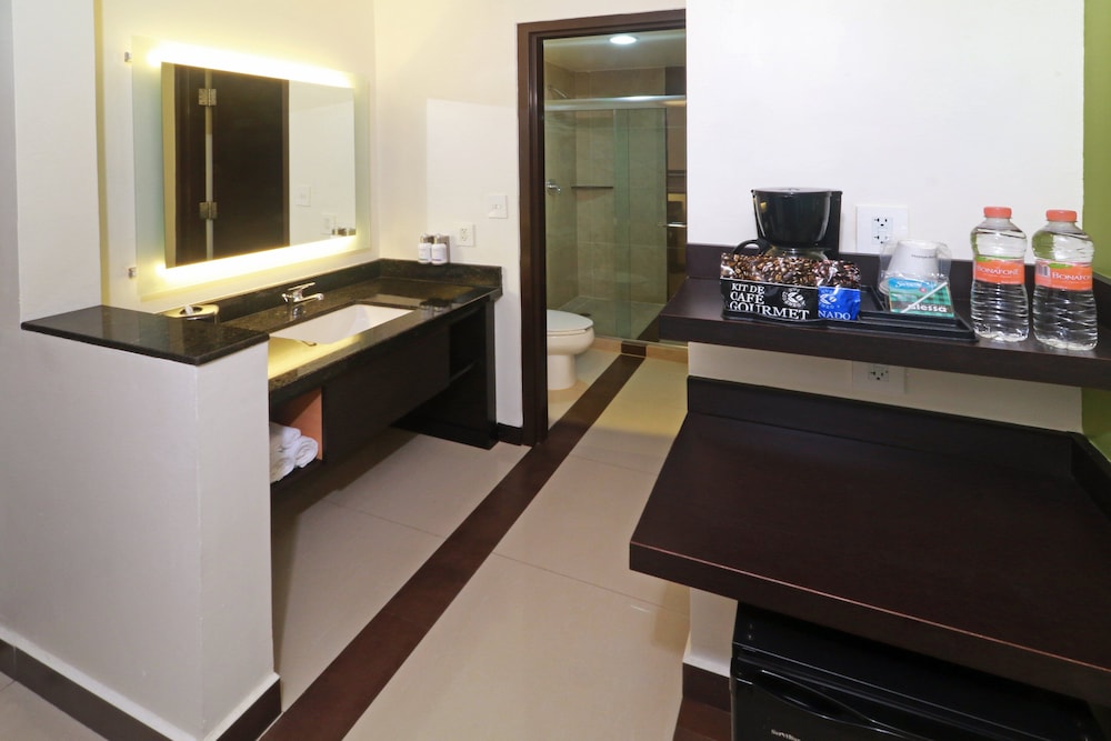 Holiday Inn Express Tuxpan 17/78
