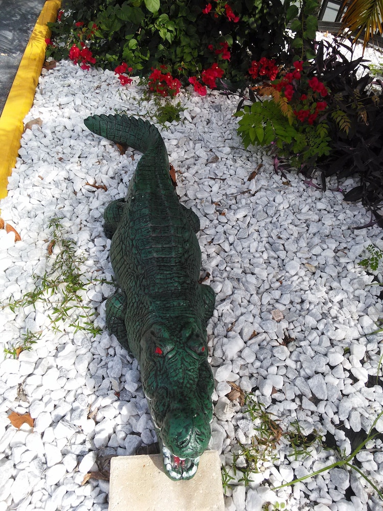 Merida Inn And Suites 25/50