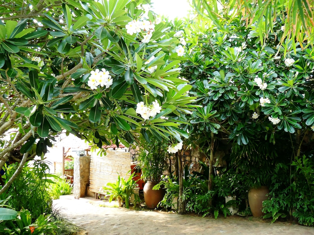 Mealea Resort 40/50