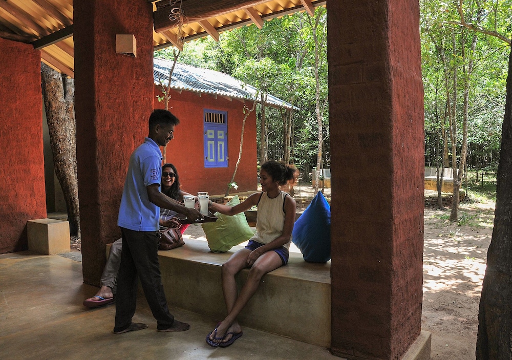Back Of Beyond Pidurangala 6/47