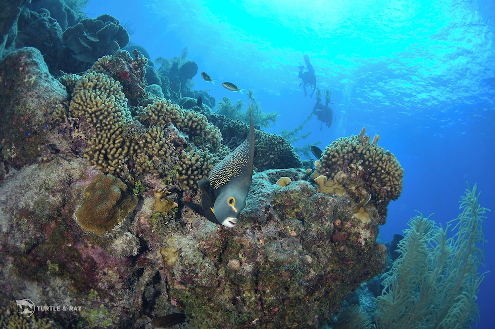 Lagun Blou Resort Curacao 48/59