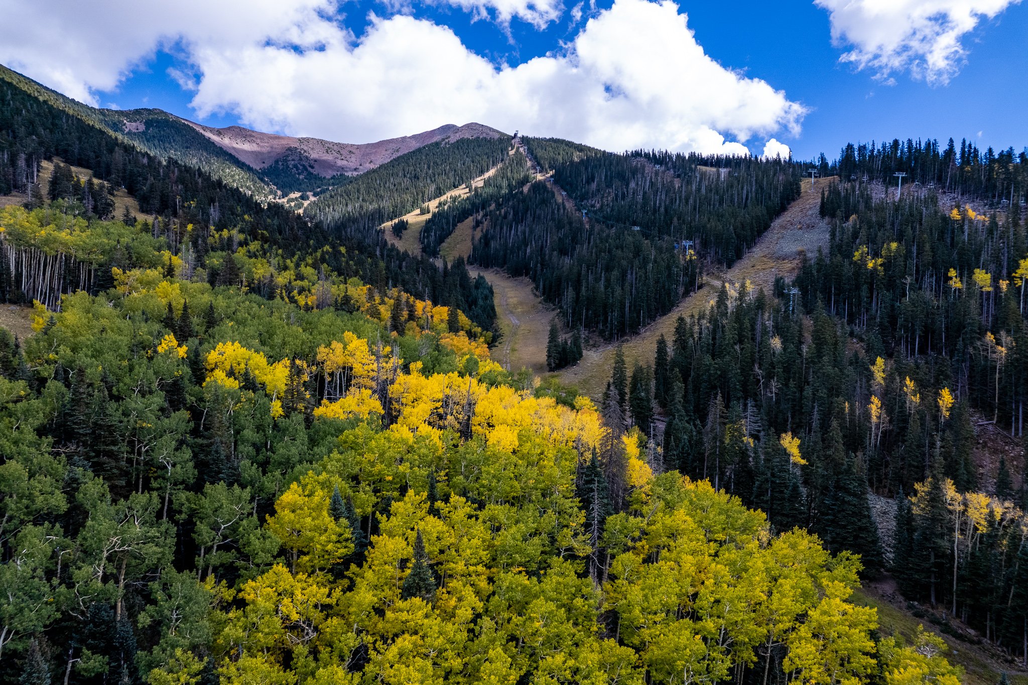 voco Flagstaff by IHG 48/56
