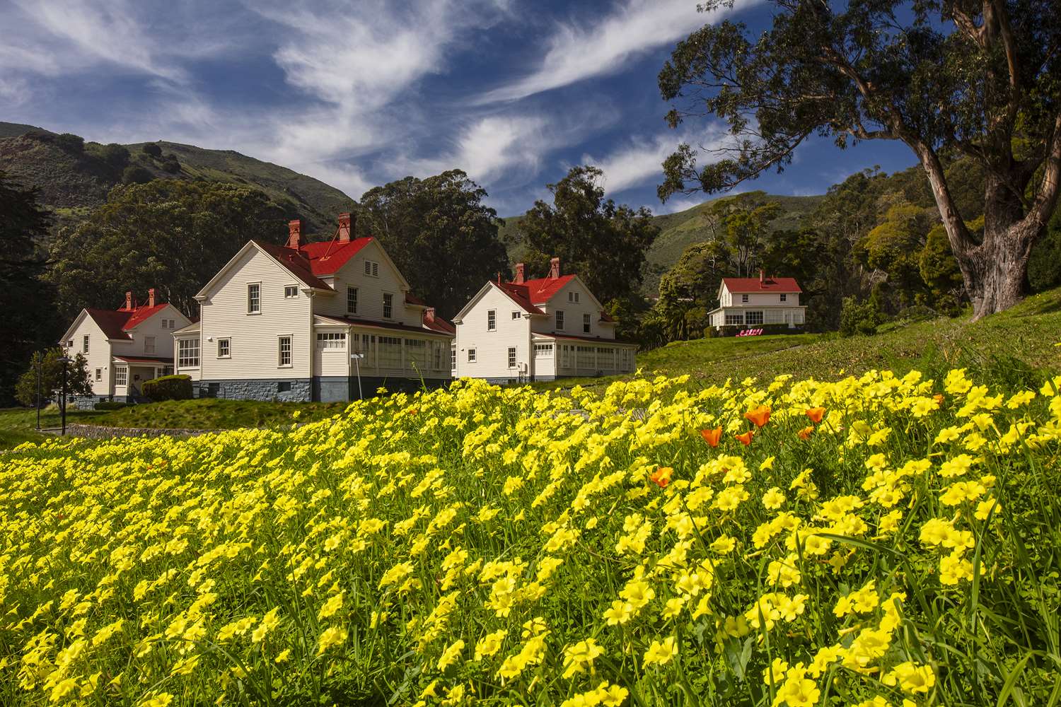 Cavallo Point 39/41