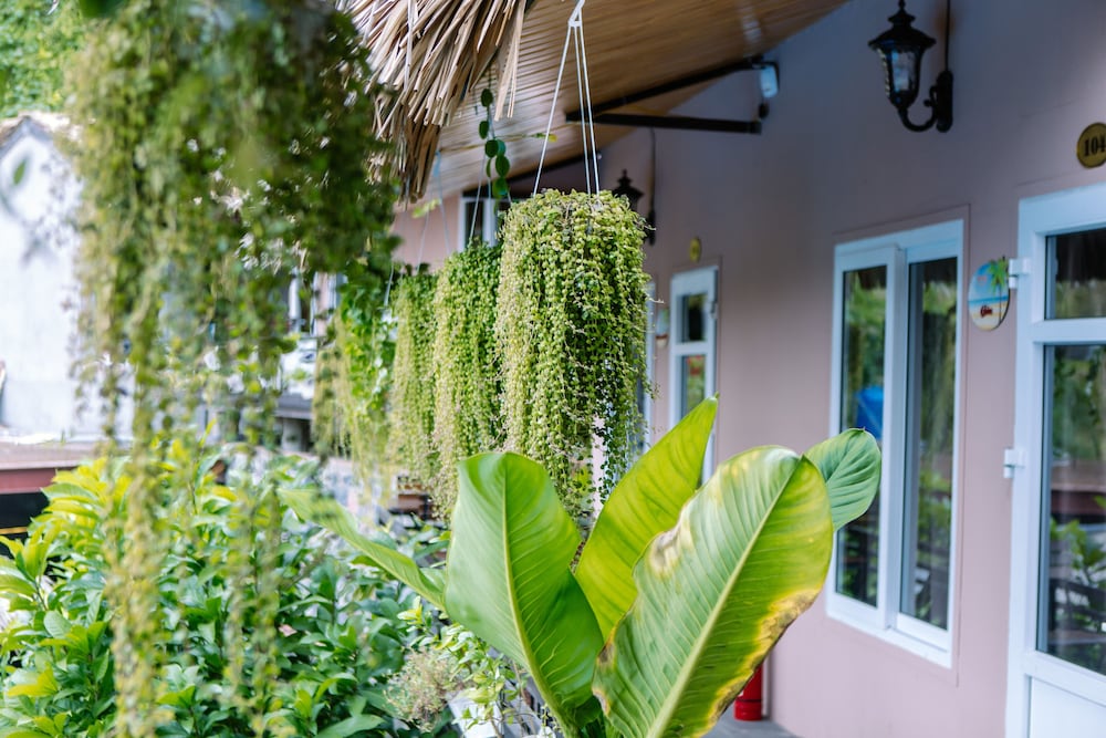 Catba Oasis Bungalows - Hostel 37/45