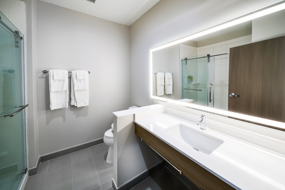 Holiday Inn Express & Suites - Houston SW - Rosenberg, an IHG Hotel 44/46