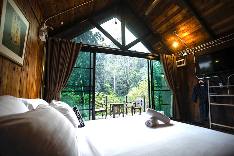 River, Forest, Villa, Accessible