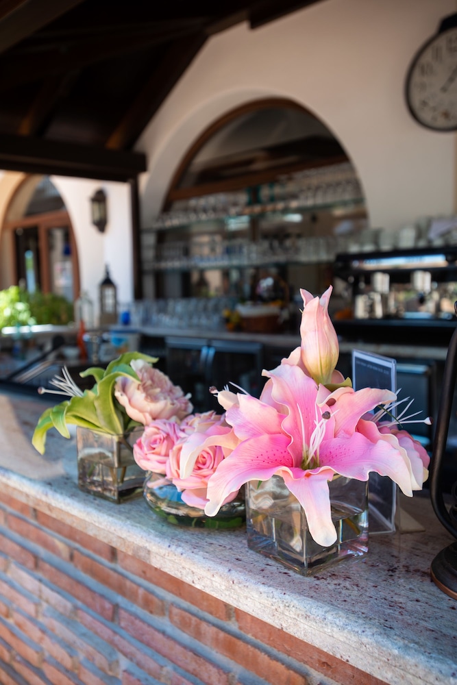 Paloma Blanca Boutique Hotel 23/50