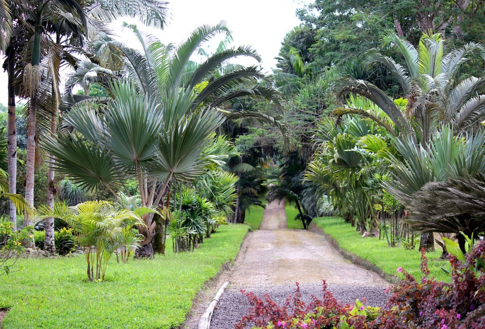 Tropical Island Aparthotel 47/50