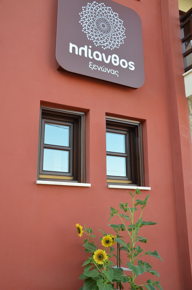 Helianthus Guesthouse 6/50