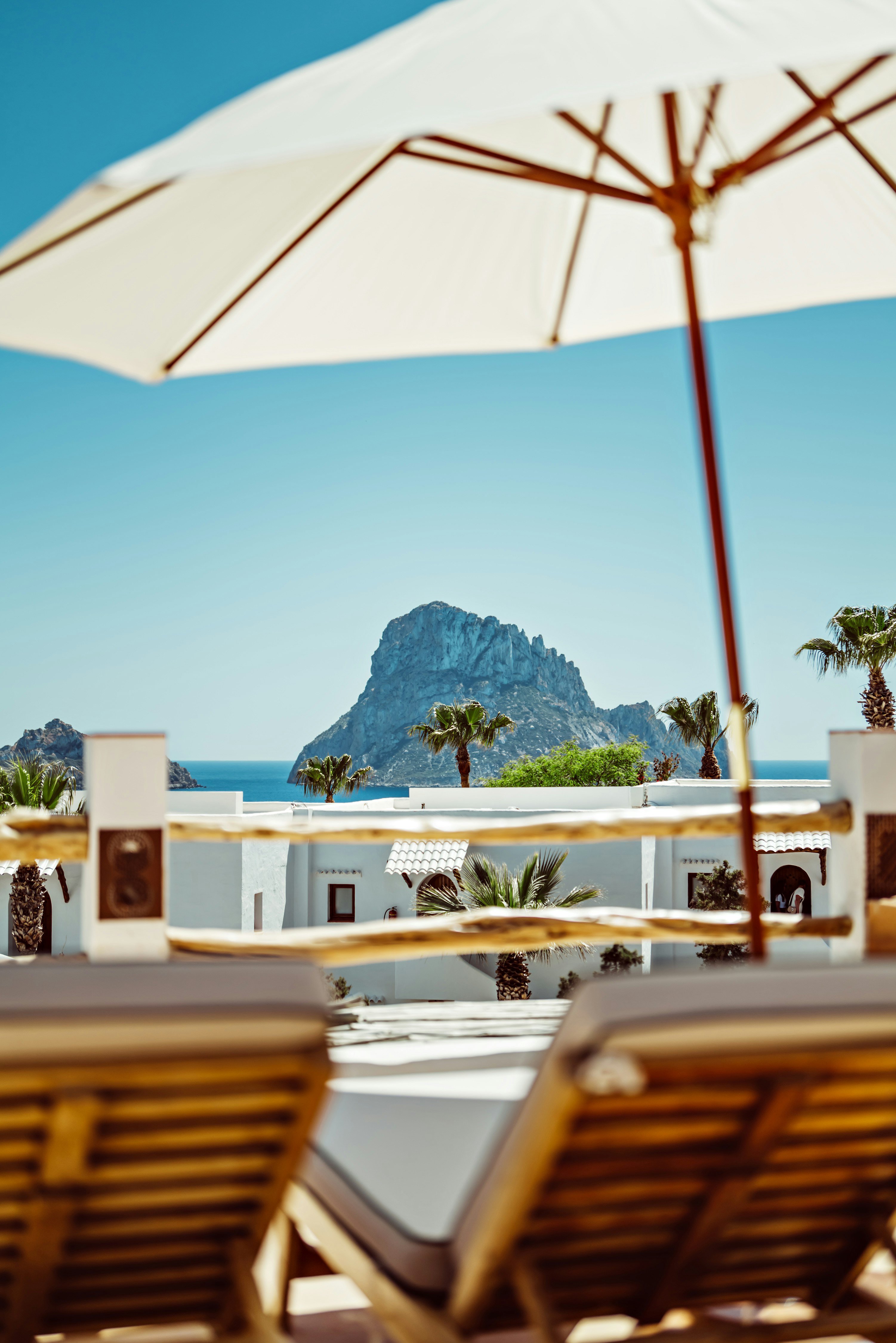 Petunia Hotel Ibiza 28/50