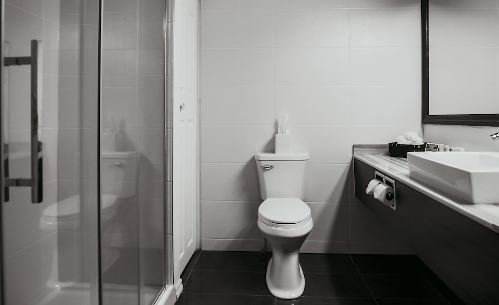 Quality Inn & Suites Gatineau 14/42