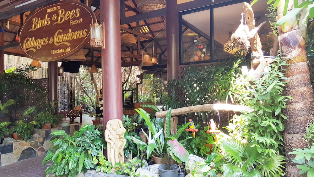 Birds & Bees Resort photo1
