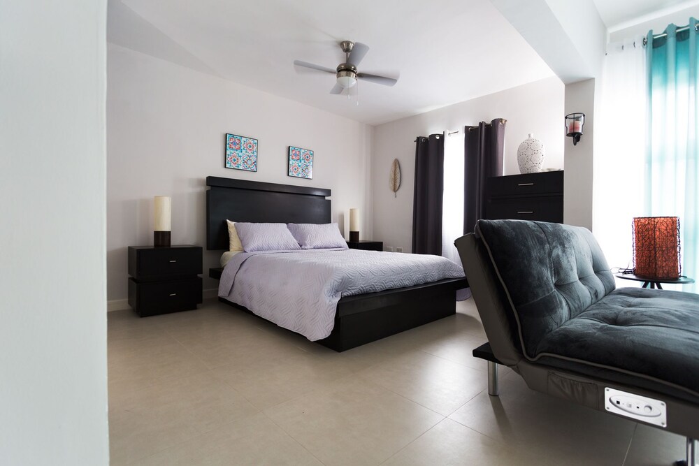 Kingston Luxury Guest Apt At Sullivan 3/19