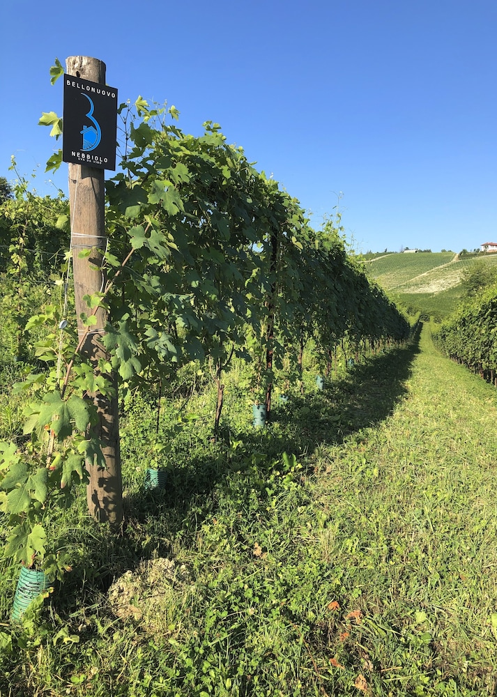 Cascina Bellonuovo - Agriturismo 43/50