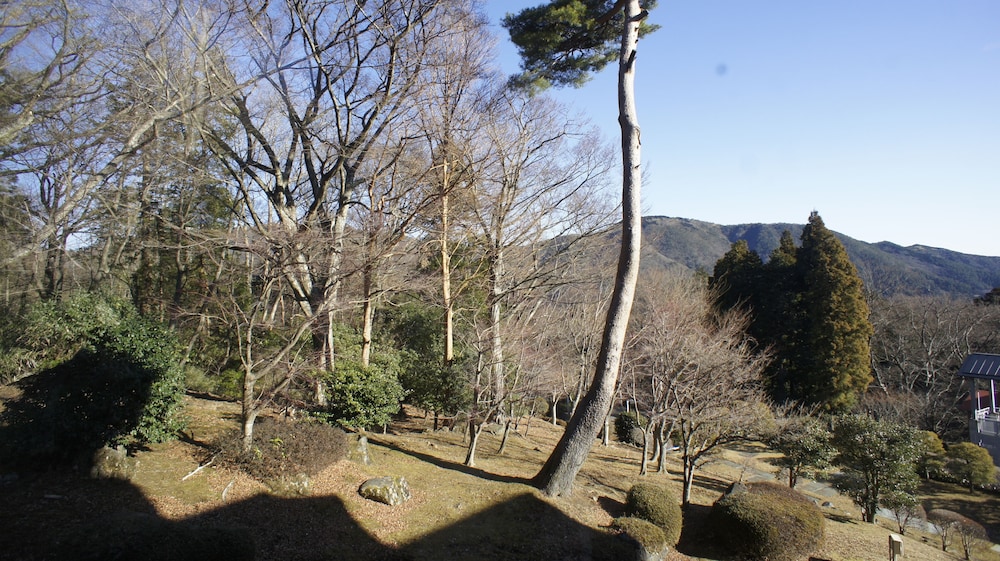 ウィステリアンライフクラブ ヴェルデの森 写真3