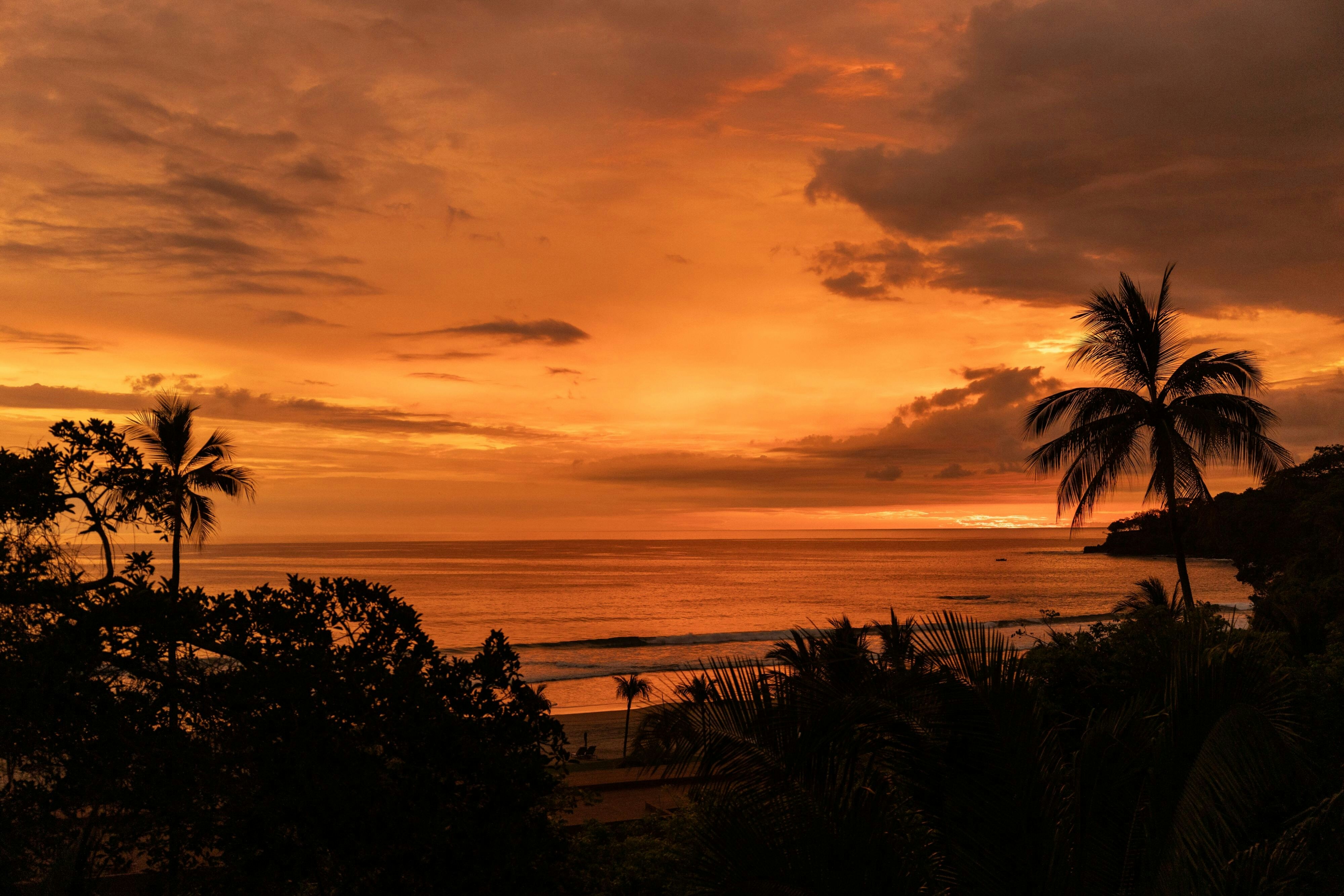 Siari Riviera Nayarit, a Ritz-Carlton Reserve 30/50