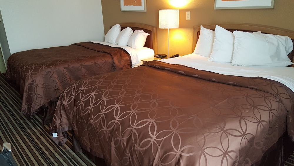 Econo Lodge Inn & Suites Norton - Wise South 17/44