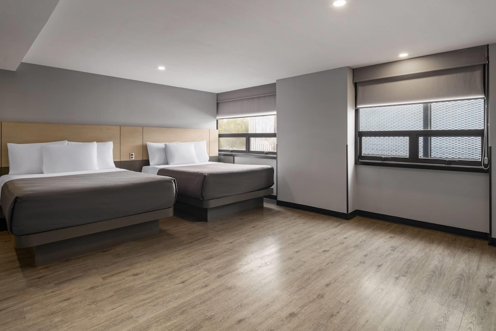 Hotel MX aeropuerto CDMX, Trademark Collection by Wyndham 11/50