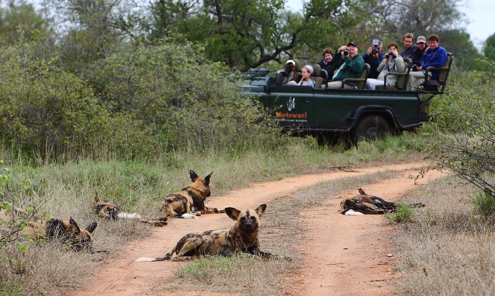 Geigers Camp at Motswari Private Game Reserve 26/34
