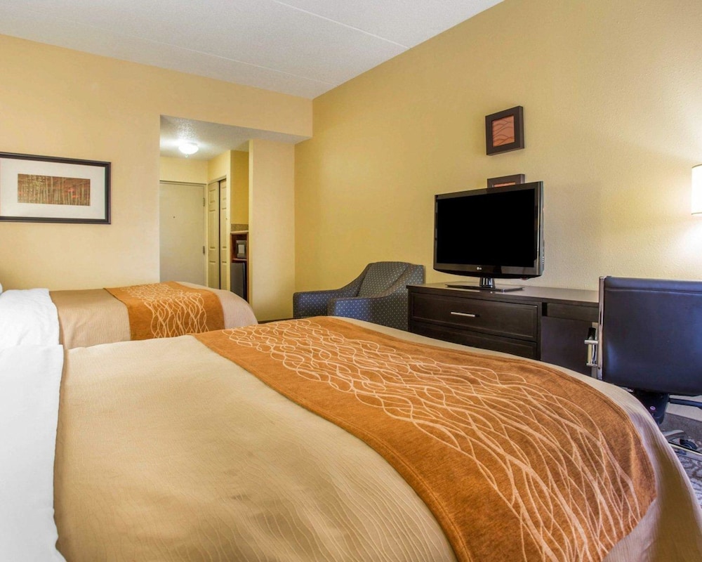 Comfort Inn Suites At Stone Mountain 20/39