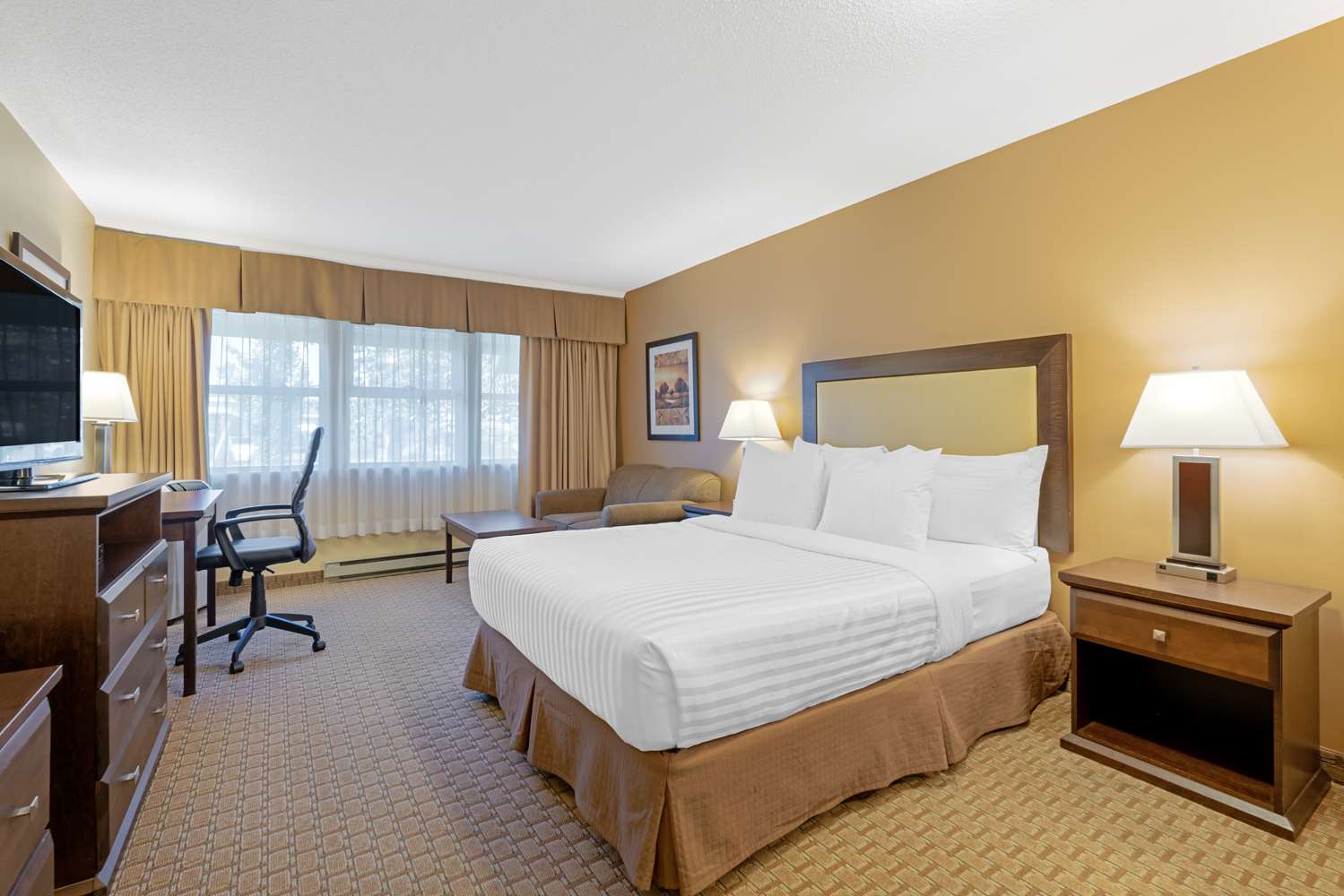 Room, Queen Bed, Accessible