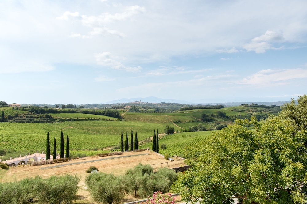 Laqua Vineyard 34/50